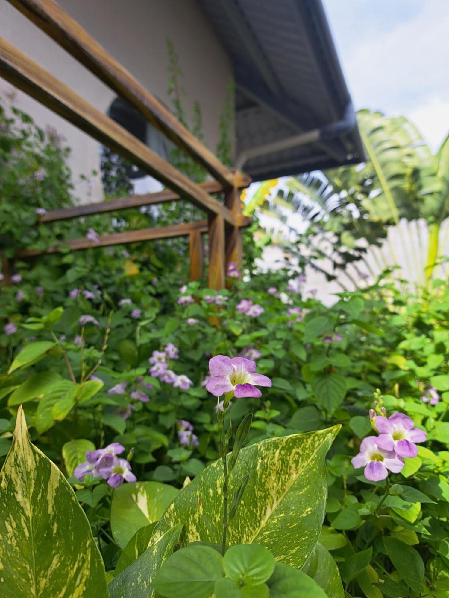 Golden Lotus Spa & Homestay Ap Thien Phuoc Luaran gambar