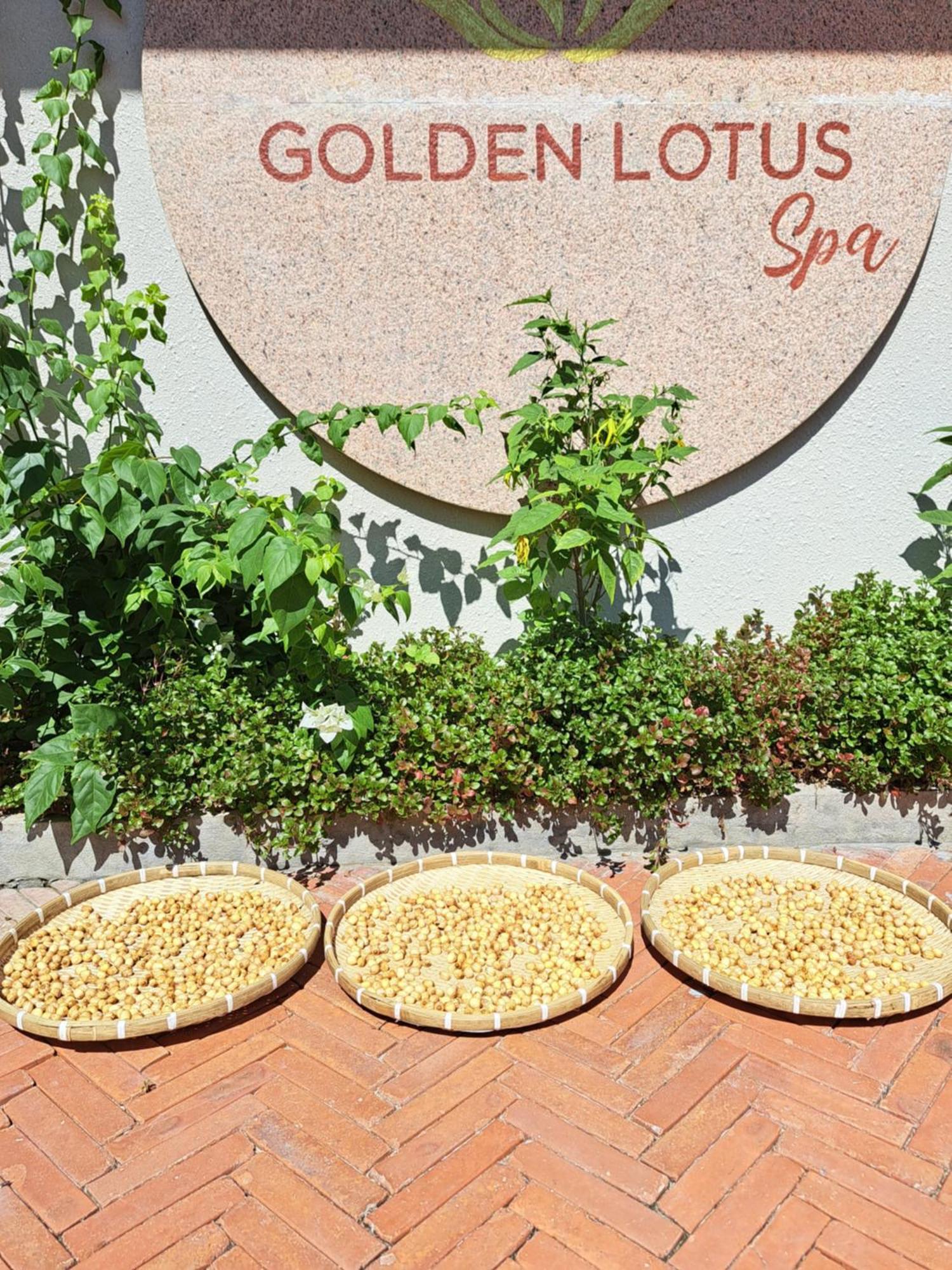Golden Lotus Spa & Homestay Ap Thien Phuoc Luaran gambar